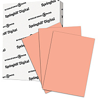 Springhill Multipurpose Cardstock - Salmon (SGH085300)