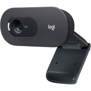 Logitech C505 Webcam - 30 fps - USB Type A - Retail - 1 Pack(s) (960001363)