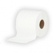 Skilcraft 2-ply Toilet Tissue Paper (8540016910486)