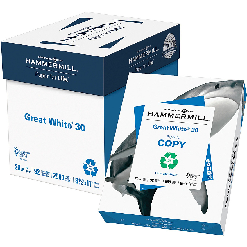 Hammermill Great White 30 Copy Paper - White (HAM86710)