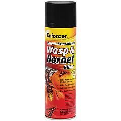 Enforcer Instant Knockdown Wasp/Hornet Spray (AMREWHIK16)