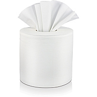 Solaris Paper Livi VPG Select Center Pull Towel (SOL45507)