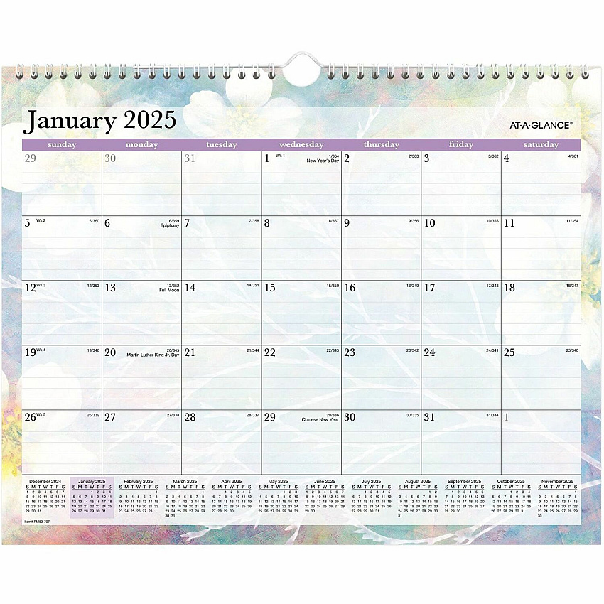At-A-Glance Dreams Wall Calendar (PM83707)