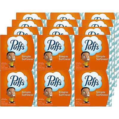 Puffs Basic Facial Tissue (PGC84405)