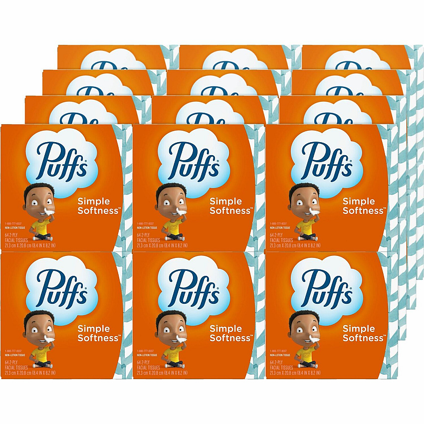 Puffs Basic Facial Tissue (PGC84405)