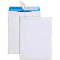 Quality Park 9 x 12 Treated, Security Tinted Catalog Envelopes with Redi-Strip Closure (QUA41415R)