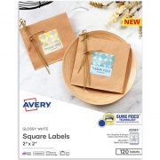 Avery Printable Square Labels, 22565, 2&rdquo;W x 2&rdquo;D, Glossy White, Pack Of 120 Labels