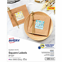 Avery Sure Feed Glossy White Square Labels (AVE22565)
