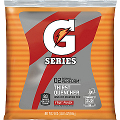 Gatorade Fruit Punch Thirst Quencher (GTD33691)