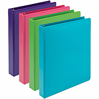 Samsill Earthchoice Durable View Binder (SAMMS48639)