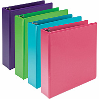 Samsill Earthchoice Durable View Binder (SAMMS48669)