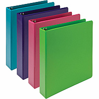 Samsill Earthchoice Durable View Binder (SAMMS48659)
