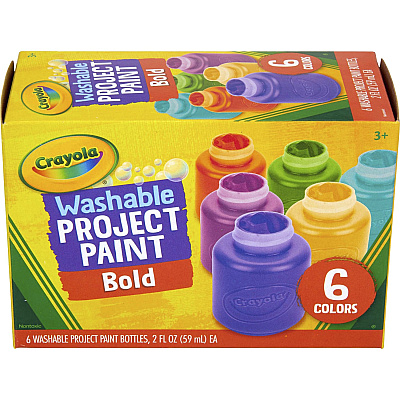 Crayola Washable Project Paint (CYO542403)