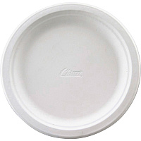 Chinet Classic 10-1/2" Tableware Plates (HUH21217)