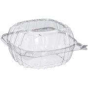 SEPG ClearSeal Hinged Lid Container (021559)