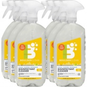 Boulder Clean Disinfectant Cleaner (003007CT)