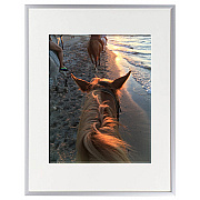 Seco Picture Frame (AL1114SV)