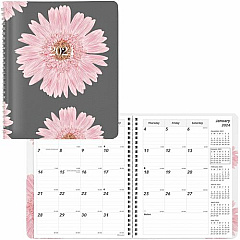 Brownline Essential Monthly Planner (REDCB1200G05)