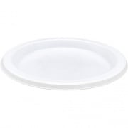 Genuine Joe Disposable Plastic Plates (10331)