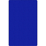 Flagship Carpets Americolors Solid Color Rug (AS22RB)