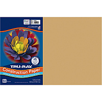 Tru-Ray Construction Paper (PACP103074)