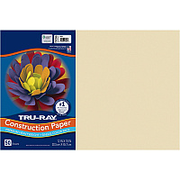 Tru-Ray Construction Paper (PACP103065)