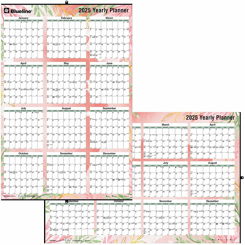 Blueline Passion Yearly Laminated Wall Calendar, 24" x 36" , English (C171920)