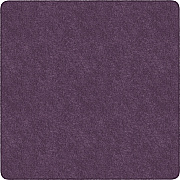 Flagship Carpets Amerisoft Solid Color Rug (TS26PP)