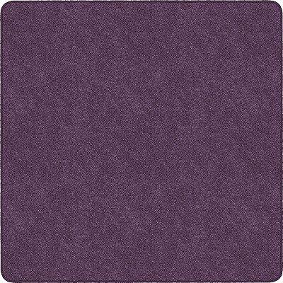 Flagship Carpets Amerisoft Solid Color Rug (TS26PP)
