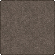Flagship Carpets Amerisoft Solid Color Rug (TS70WT)