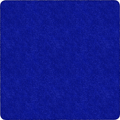 Flagship Carpets Amerisoft Solid Color Rug (TS70RB)