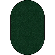 Flagship Carpets Amerisoft Solid Color Rug (TS45EG)