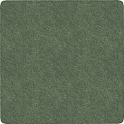 Flagship Carpets Amerisoft Solid Color Rug (TS70SG)