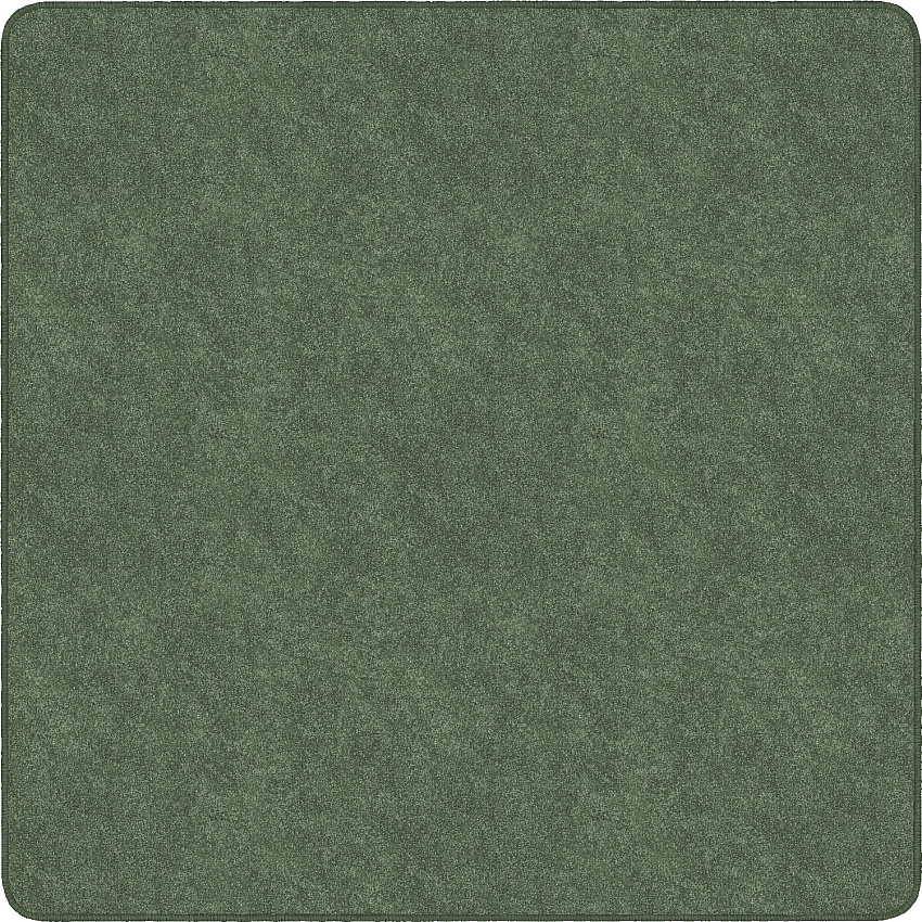 Flagship Carpets Amerisoft Solid Color Rug (TS70SG)