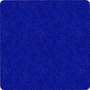 Flagship Carpets Amerisoft Solid Color Rug (TS26RB)