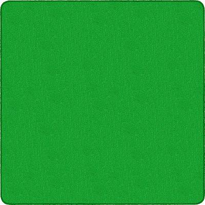Flagship Carpets Classic Solid Color 12' Square Rug (AS70LG)