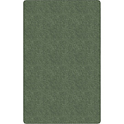 Flagship Carpets Amerisoft Solid Color Rug (TS80SG)