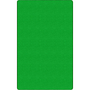 Flagship Carpets Ameristrong Solid Color Rug (BS80LG)
