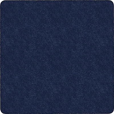 Flagship Carpets Amerisoft Solid Color Rug (TS70NY)