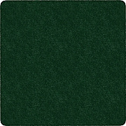 Flagship Carpets Amerisoft Solid Color Rug (TS26EG)