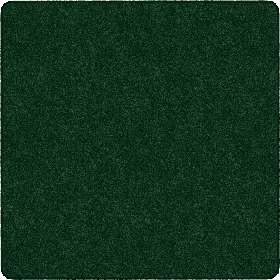 Flagship Carpets Amerisoft Solid Color Rug (TS26EG)