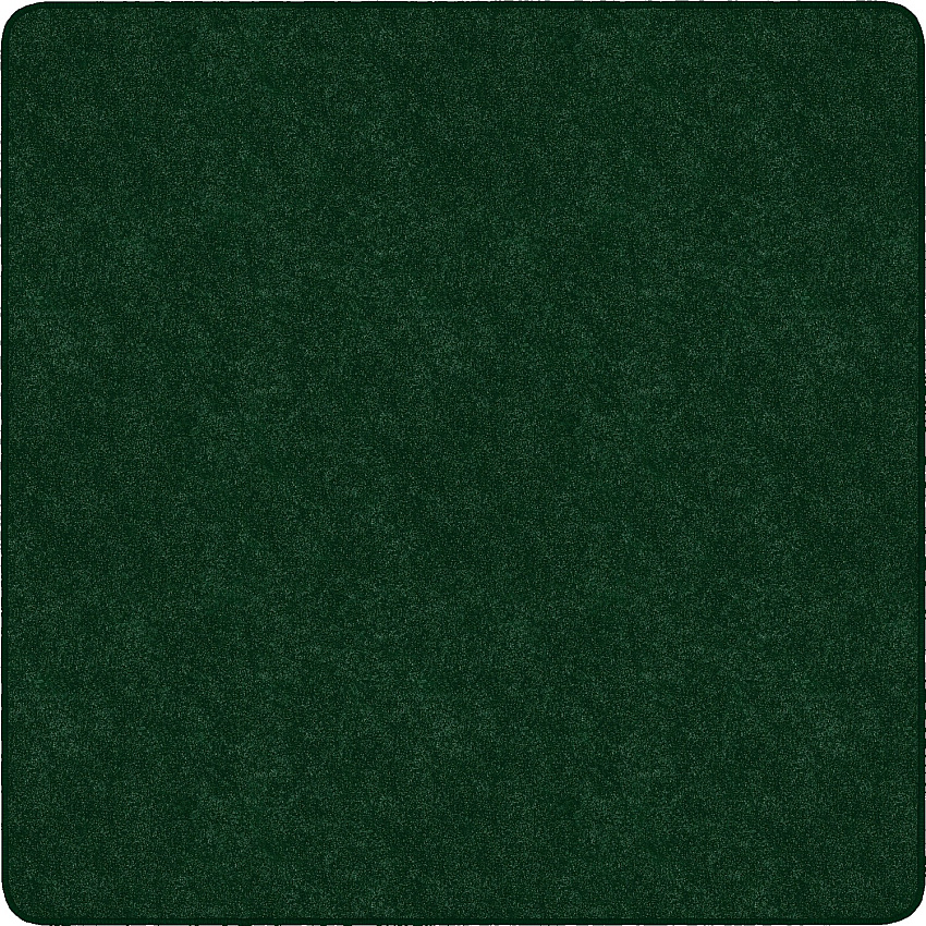 Flagship Carpets Amerisoft Solid Color Rug (TS26EG)