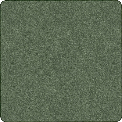 Flagship Carpets Amerisoft Solid Color Rug (TS26SG)