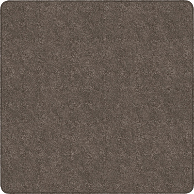 Flagship Carpets Amerisoft Solid Color Rug (TS26WT)