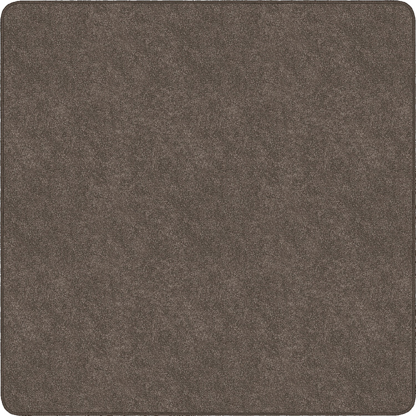 Flagship Carpets Amerisoft Solid Color Rug (TS26WT)