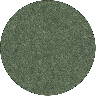 Flagship Carpets Amerisoft Solid Color Rug (TS27SG)