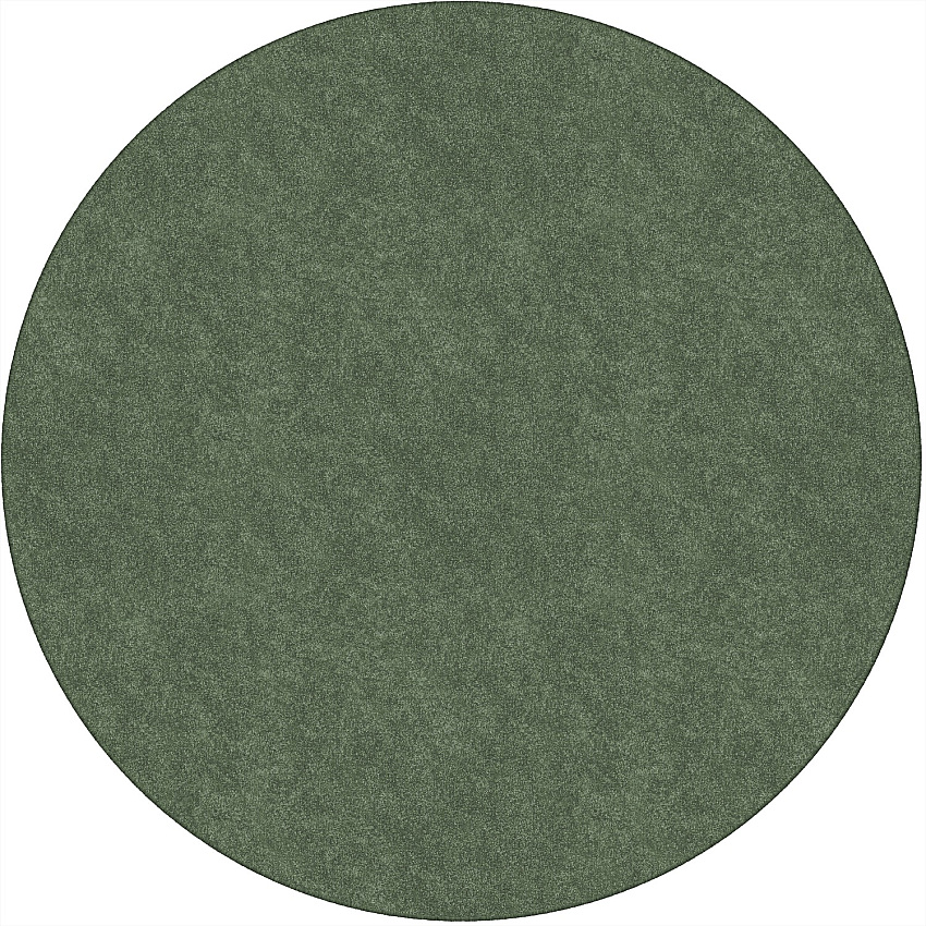Flagship Carpets Amerisoft Solid Color Rug (TS27SG)