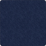 Flagship Carpets Amerisoft Solid Color Rug (TS26NY)