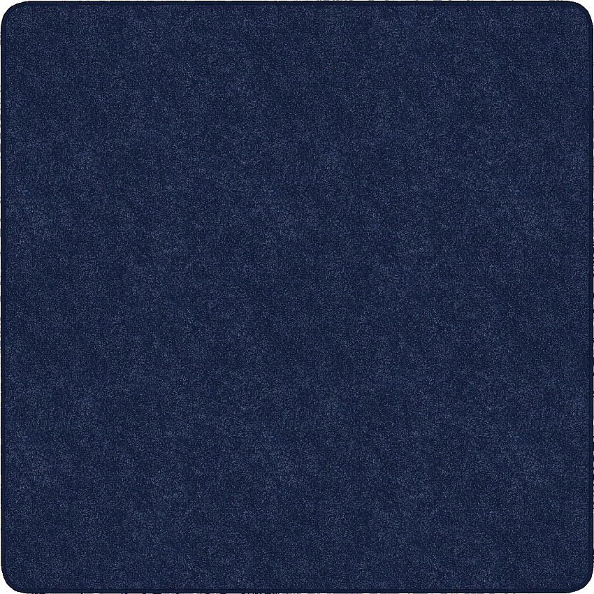 Flagship Carpets Amerisoft Solid Color Rug (TS26NY)
