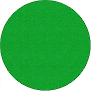 Flagship Carpets Ameristrong Solid Color Rug (BS27LG)